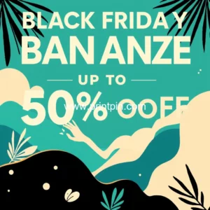 Read more about the article Unleash savings: flsun’s black friday bonanza – up to 50% off!