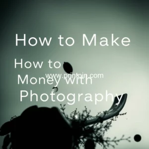 Read more about the article How to Make Money with Photography